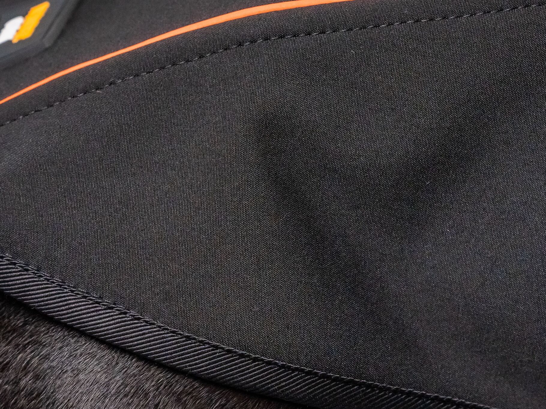 Dachshund Technical Fleece close-up Black