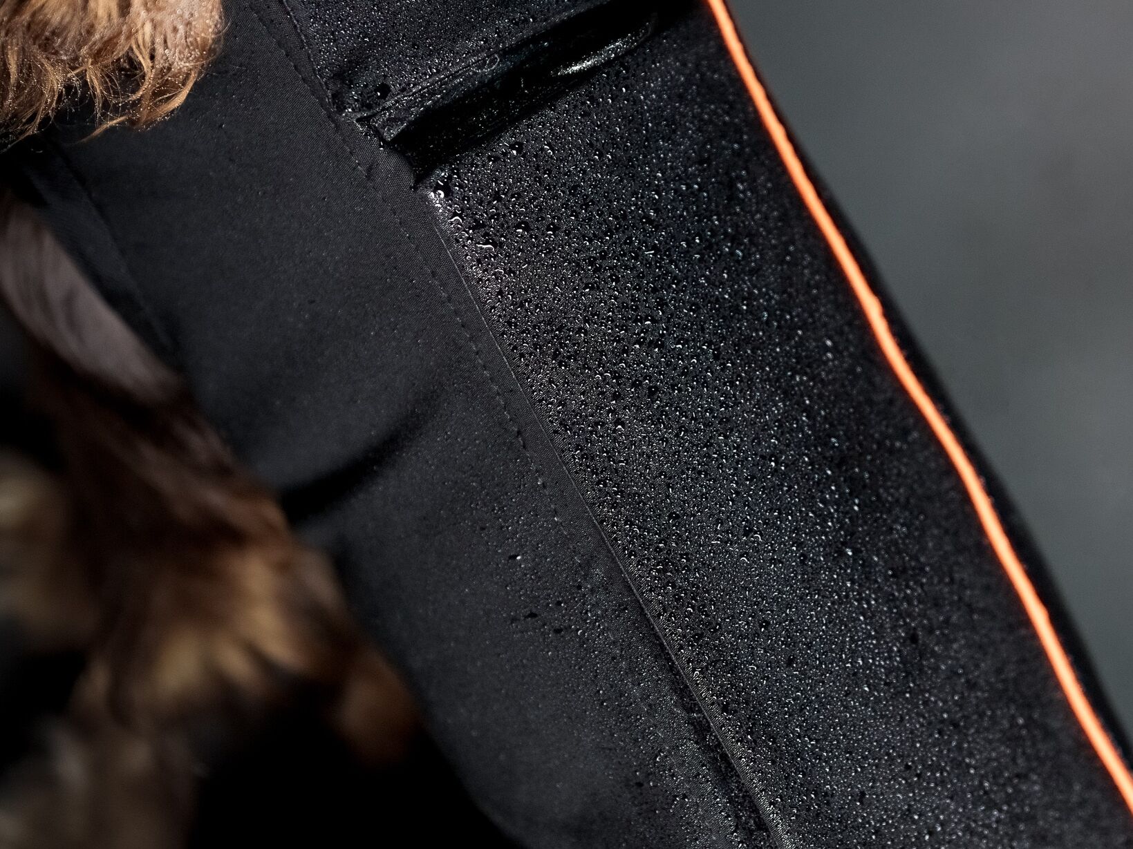Dachshund Technical Fleece waterproof closeup Black