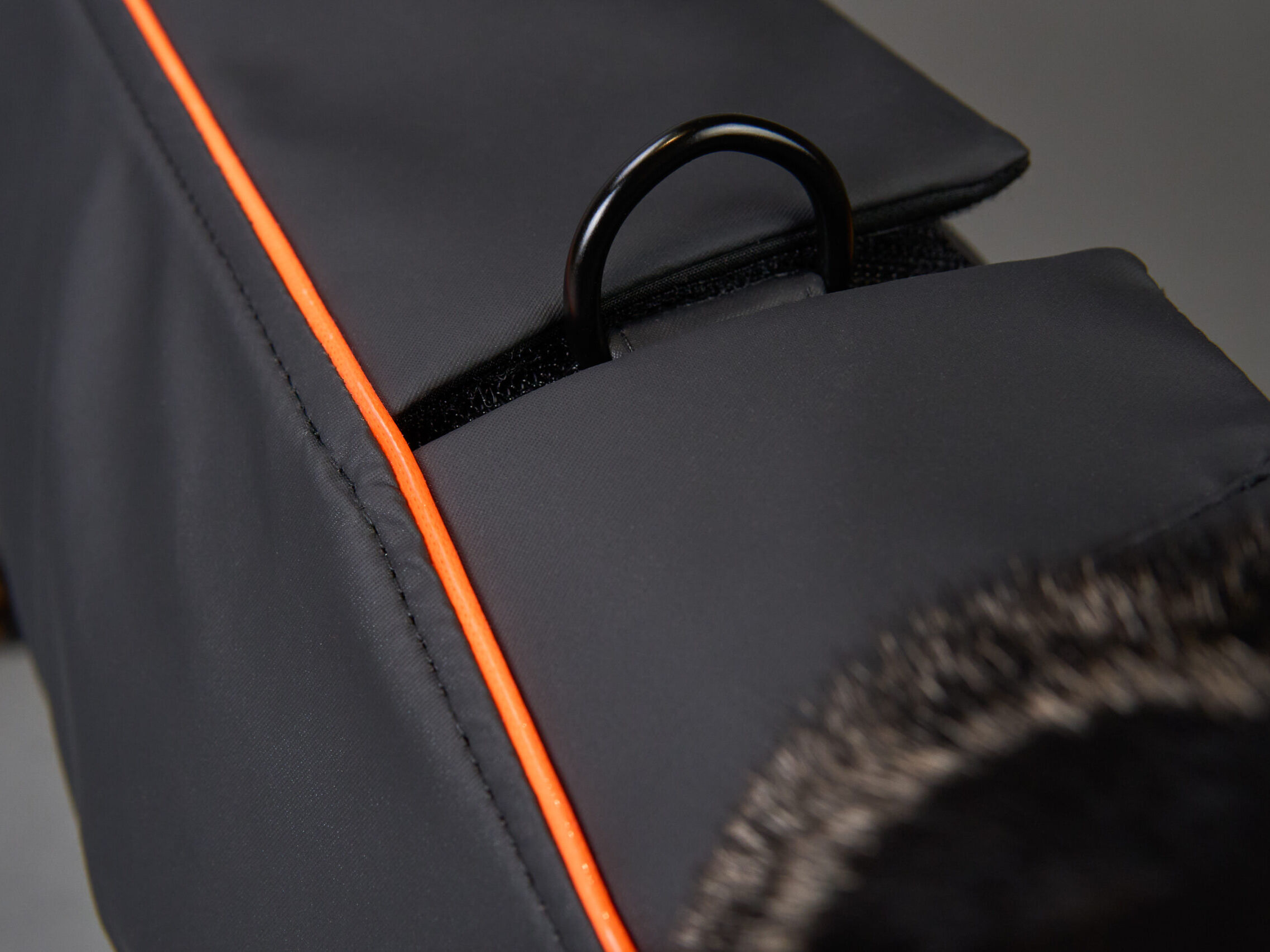 Dachshund Harness Coat Black Closeup