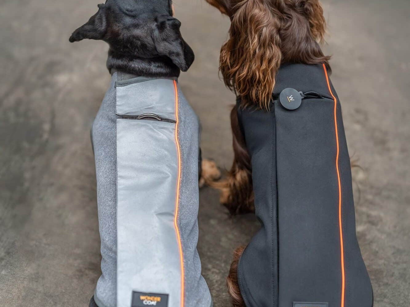 Dachshund Technical Fleece Silver and Black