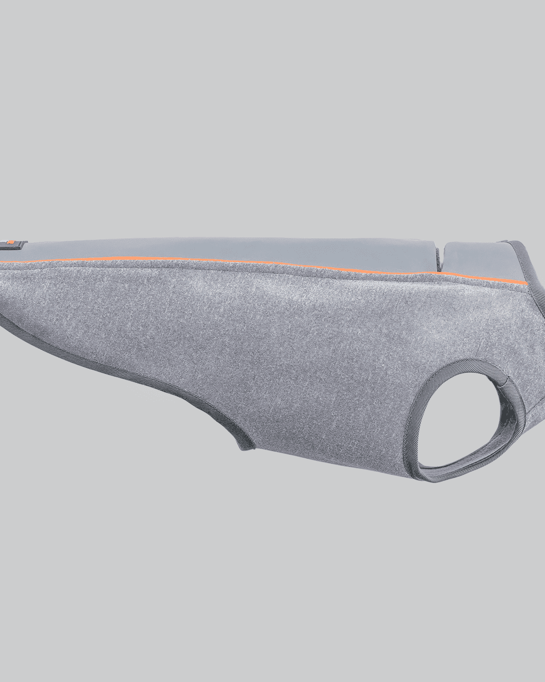 Dachshund Technical Fleece Silver Floating