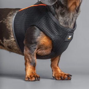 Harness Pro