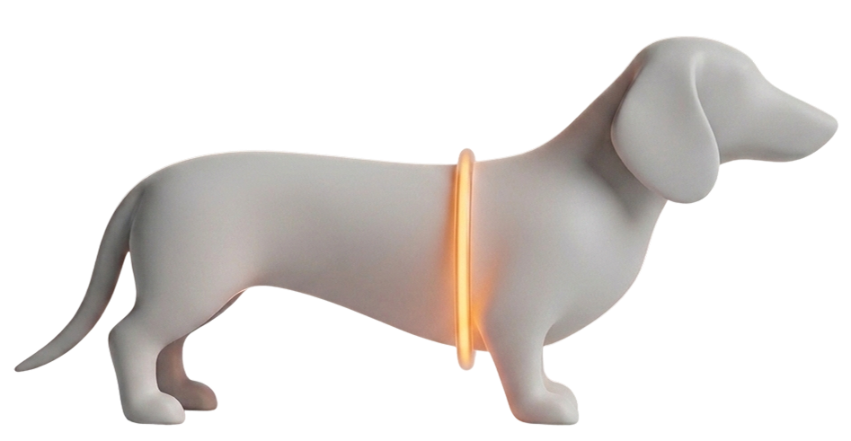 Where to measure a dachshund: a tape around the body just behind the front legs (chest)